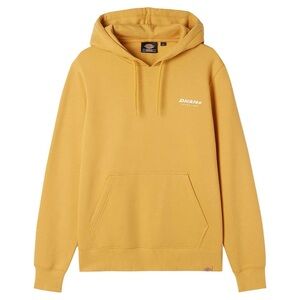 Dickies Camden Box hoodie